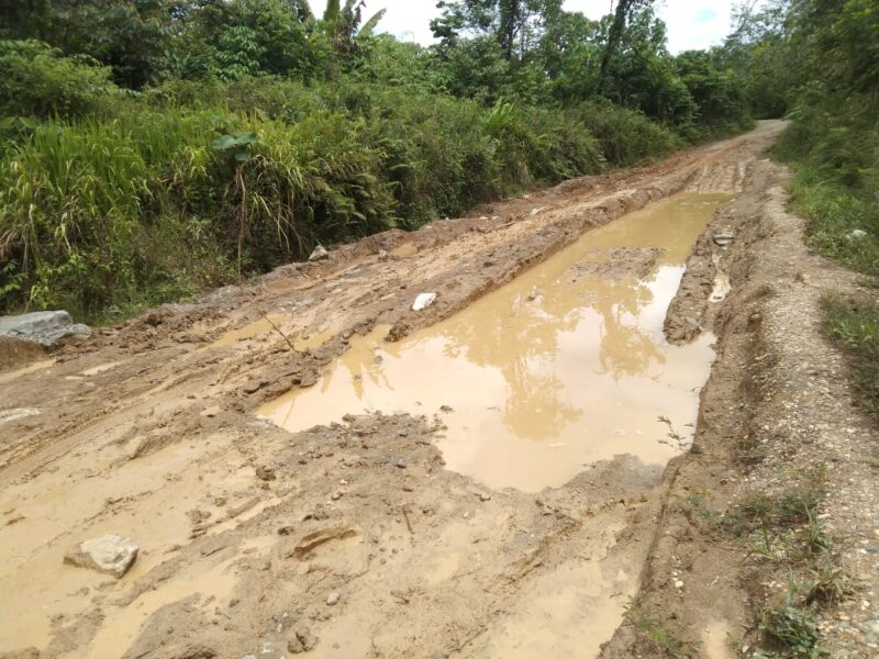 Salah satu dari 10 titik kubangan di Jalan Sei Liju, Benangin, Kecamatan Teweh Timur, Kabupaten Barito Utara (Melkianus He/Tegak Lurus. Net) 
