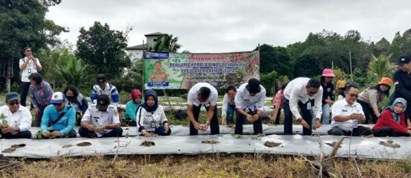 Penanaman cabe rawit di lahan mandiri Desa Trnsng, Kabupaten Barito Utara, Rabu 24 Mei 2023 (TegakLurus) 