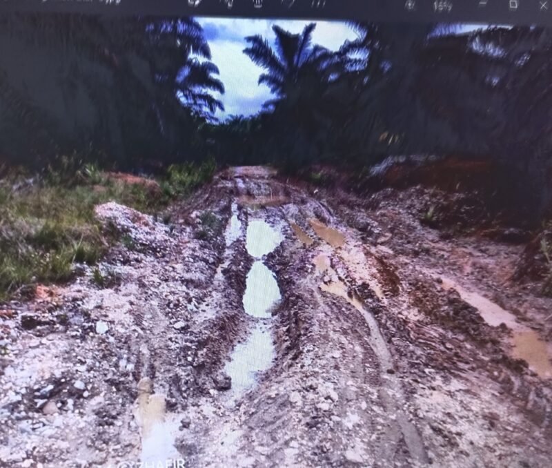 Kondisi jalan utama masuk ke lokasi sawit Koperaai Byna Mitra Utama, Sikui, Kabupaten Barito Utara (Melkianus He/Tegak Lurus)