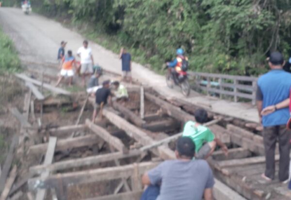 Warga dan Pemdes Teluk Malewai, Kabupaten Barito Utara, bergotong-royong memperbaiki jembatan (TegakLurus.Net