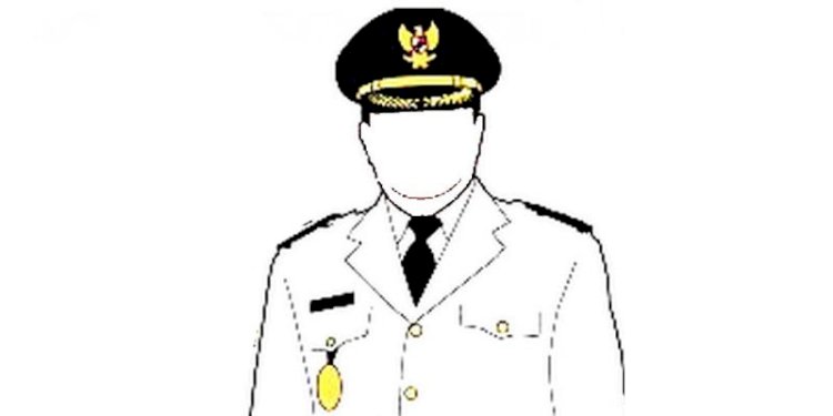 Pj Bupati (Ilustrasi/tegaklurusnet) 