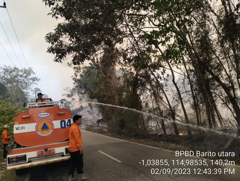 Tim BPBD sedang memadamkan karhutla dj Desa Hajak, Sabtu 2 September 2023 (BPBD Barito/tegaklurus.net) 