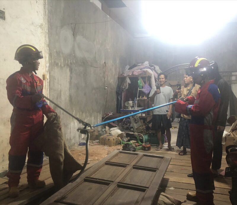 Hasan, warga Jalan Putra Sabui 1, Kelurahan Lanjas, Muara Teweh, Kabupaten Barito Utara, panik setelah melihat seekor ular kobra di gudang mebel miliknya, Senin 20 November 2023 sore.