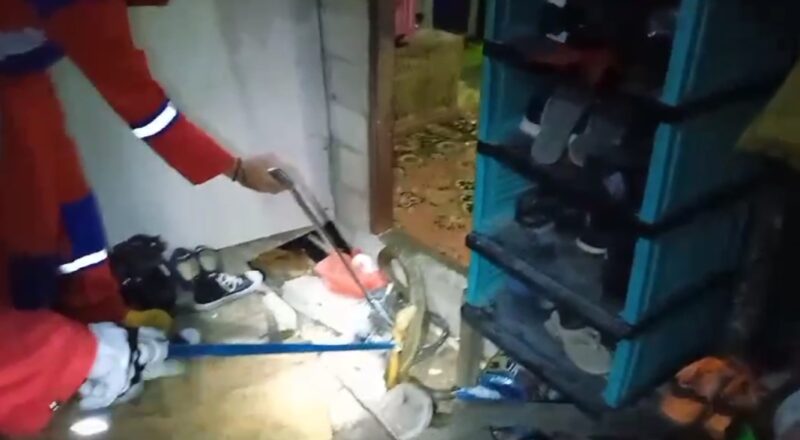 King Kobra panjang tiga meter dievakuasi dari rumah warga di kawasan Jalan Nasional, Kompleks Pesantren Yasin, Kelurahan Jingah, Kecamatan Teweh Baru, Kabupaten Barito Utara, Kalimantan Tengah, Senin 12 Febeuari 2024 sore.(ist)