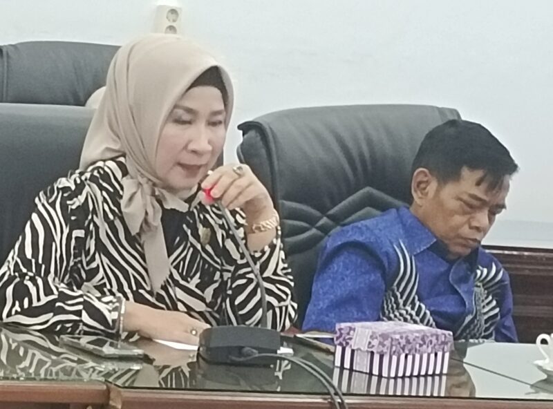 Anggota DPRD Barito Utara, Nety Herawati,  mengungkapkan pendapatnya mengenai kelangkaan elpiji bersubsidi di Kabupaten Barito Utara saat RDP, Kamis 16 Mei 2024.(tegaklurus.net/hersan) 
