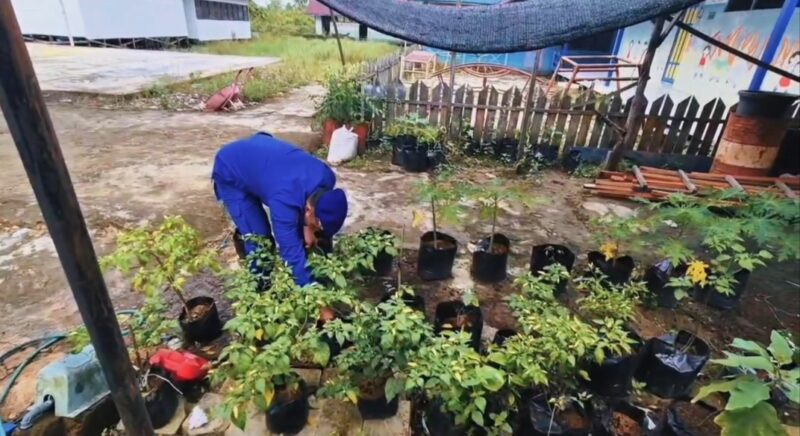 Para personel KP XVIII-2007 Ditpolairud Polda Kalteng, menanam benih sayuran untuk menyukseskan program ketahanan pangan di Palangkau Baru, Kabupaten Kapuas, Sabtu, 15 Februari 2025.(dok : Ditpolairud Polda Kalteng)