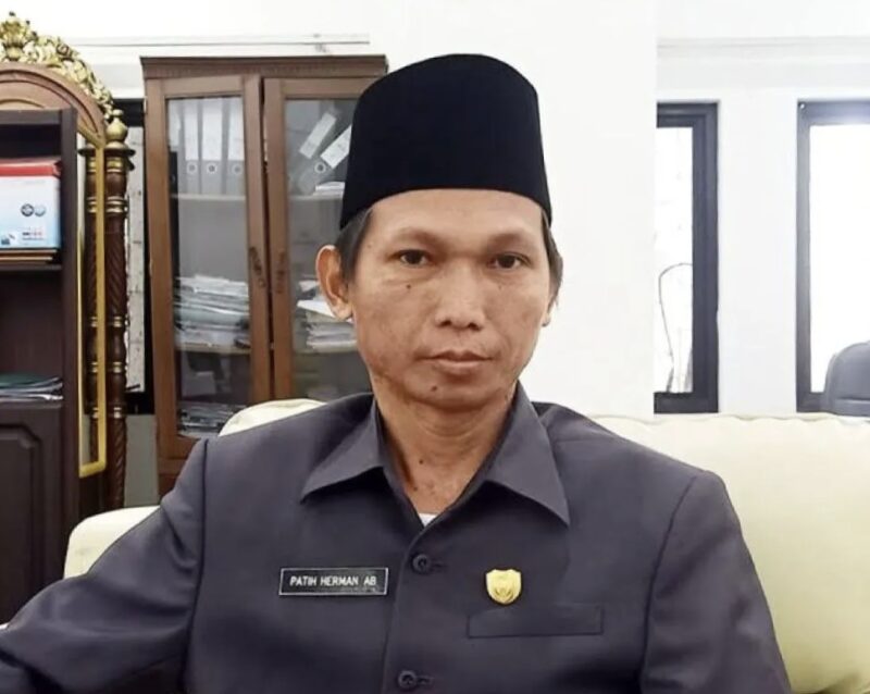Anggota DPRD Kabupaten Barito Utara (Fraksi Demokrat), Patih Herman AB.(ist : tegaklurus.net) 