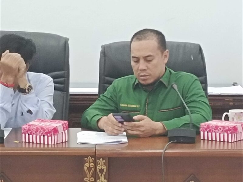 Legislator Kabupaten Barito Utara Parmana Setiawan.(ist/tegaklurus.net) 
