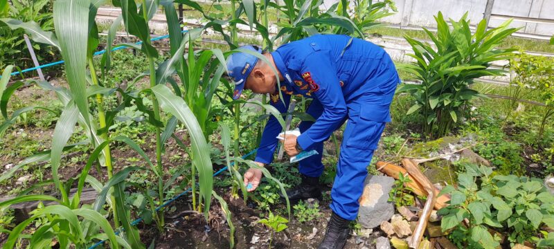 Ditpolairud Polda Kalteng mewujudkan ketahanan pangan  di desa binaan, Kamis, 10 Juli 2025.(ist  : Ditpolairud Polda Kalteng) 