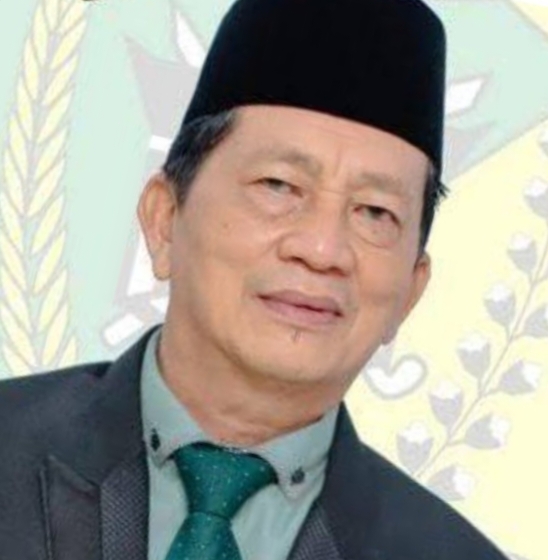 Anggota DPRD  Barito Utara/ Fraksi PKB Nurul Anwar.(ist/Setwan Barito Utara)  