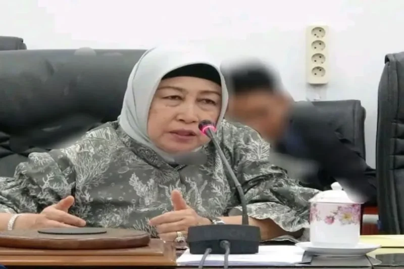 Ketua DPRD Barito Utara Mery Rukaini.(ist/tegaklurus.net)