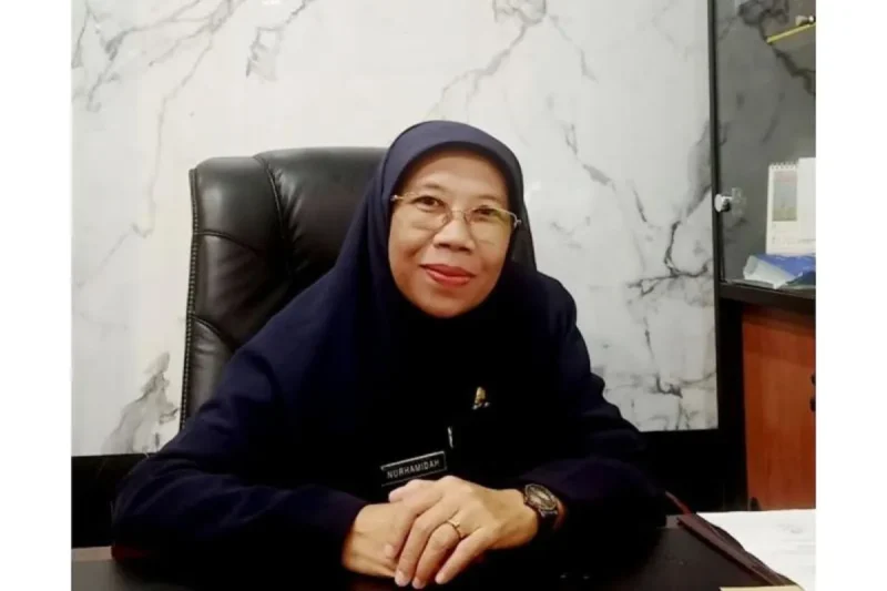 Plt Kepala Disdukcapil Barito Utara Nurhamidah.(ist/tegaklurus.net) 
