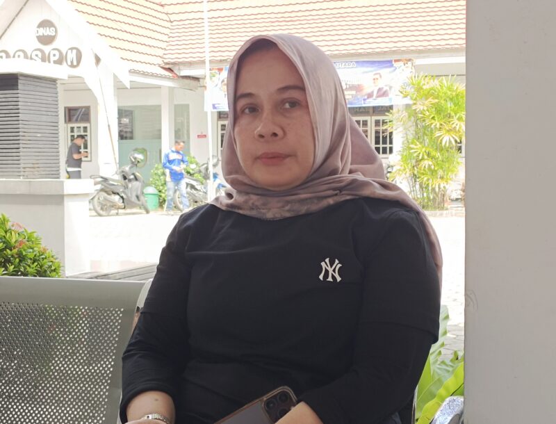 Kepala BKPSDM Barito Utara Sri Hartati.(abram/tegaklurus.net)