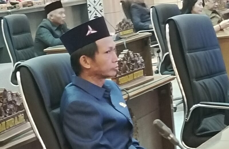 Anggota DPRD  Barito Utara/Partai Demokrat Patih Herman AB (dok) 
