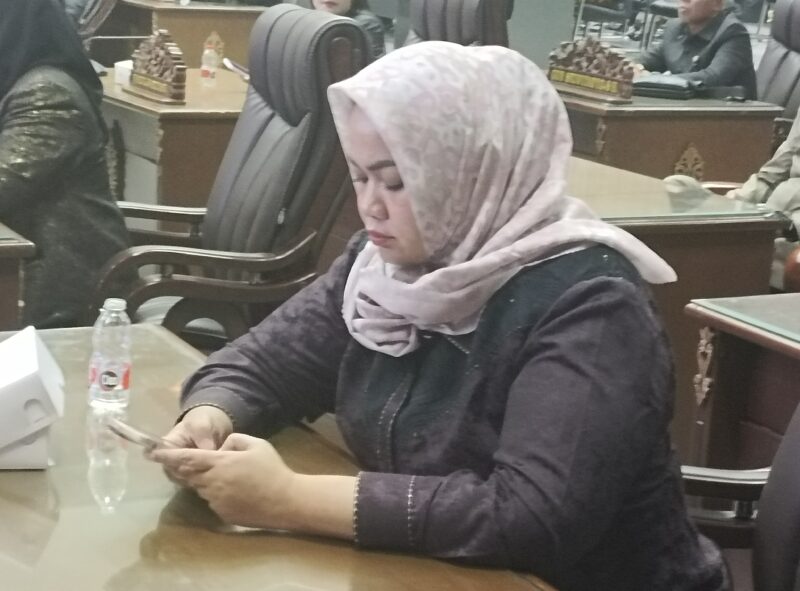 Legislator Kabupaten Barito Utara/PPP Wardatun Nur Jamilah.(hersan/tegak lurus.net) 
