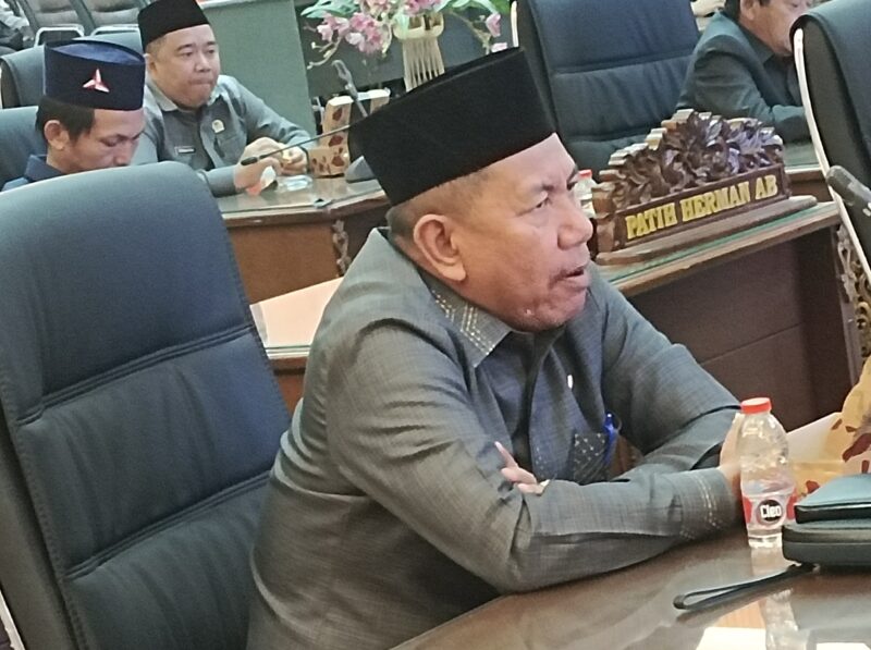 Anggota DPRD Barito Utara/PKB Al Hadi.(hersan/tegak lurus.net) 