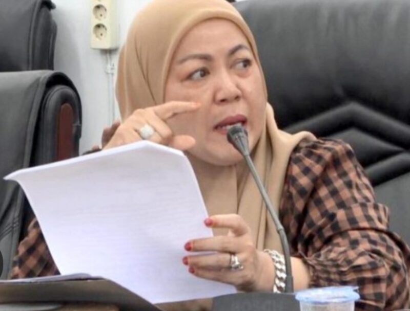 Wakil Ketua II DPRD Barito Utara/PDIP Henny Rosgiaty Rusli.(ist)