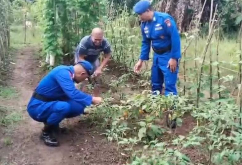Ditpolairud Polda Kalteng mendukung dan mendorong optimalisasi pemanfaatan lahan pertanian di Desa Tanjung Perawan, Kecamatan Kahayan Kuala, Kabupaten Pulang Pisau, Rabu, 11 Februari 2026.(ist/Ditpolairud Polda Kalteng)