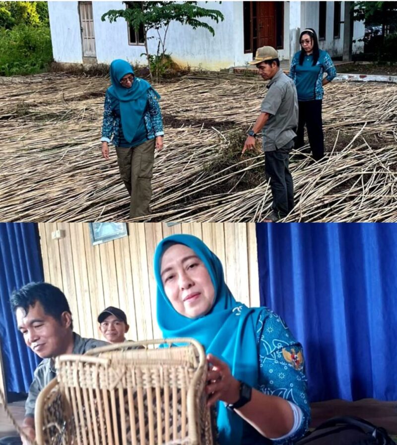 Ketua TP PKK Barito Utara Maya Savitri didampingi Ketua GOW Mira Apriyantinada, mengunjungi pengrajin anyaman rotan di Desa Tambaba Kecamatan Gunung Purei, Minggu, 14 Juni 2026.(Foto/Diskominfosandi Barito Utara)