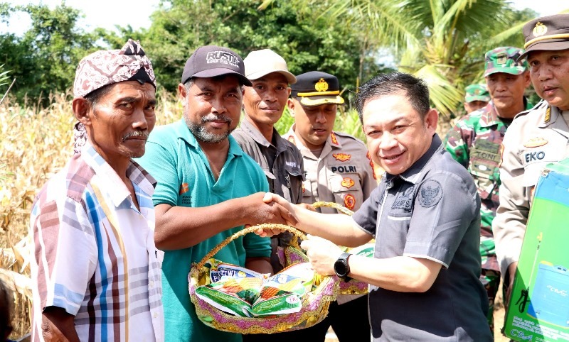 Wakil Ketua I DPRD Barito Utara/PKB Benny Siswanto menghadiri panen jagung serentak kuartal II di Desa Jamut, Kecamatan Teweh Timur, Sabtu, 16 Mei 2026.(Foto/Ist)