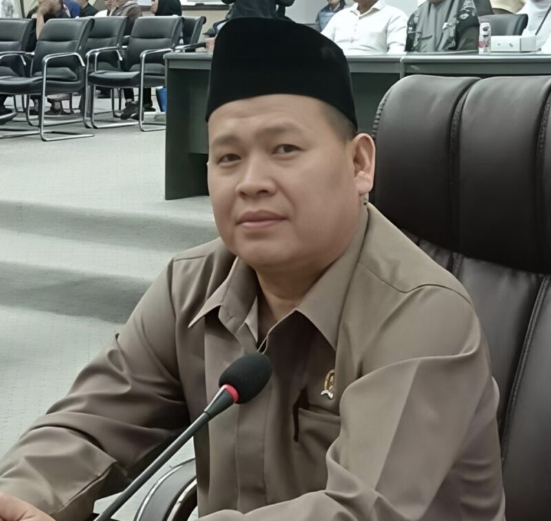 Anggota Komisi II DPRD Kabupaten Barito Utara/PKB, Suhendra.(Foto/Ist)