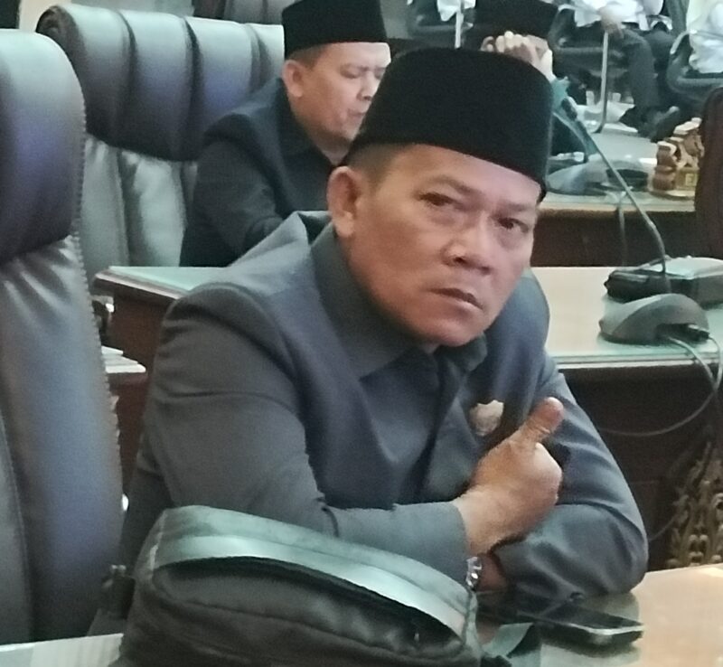 Sekretaris Komisi II DPRD Barito Utara/Demokrat, Ardianto.(Foto/Ist) 
