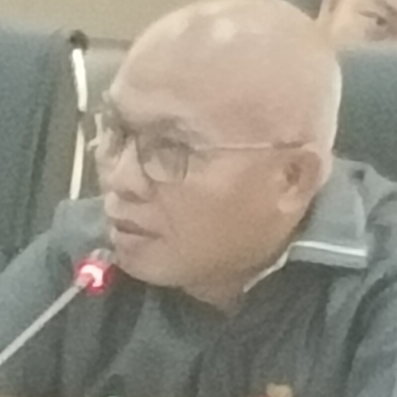 Anggota DPRD Barito Utara/PPP, Gun Sriwitanto.(Hersan/Tegaklurus.net) 
